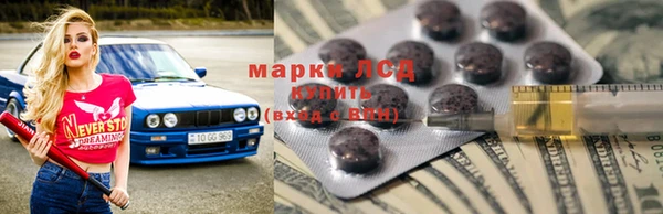 ПСИЛОЦИБИНОВЫЕ ГРИБЫ Абаза