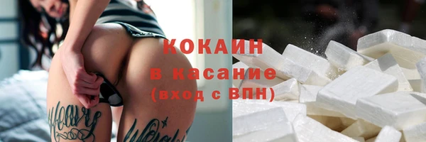 прущие грибы Сатка