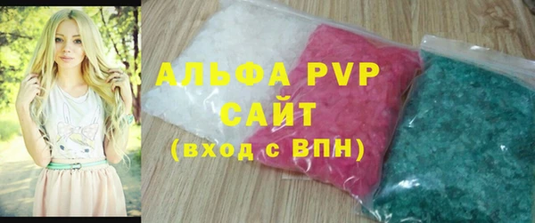 прущие грибы Сатка