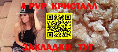 амф Донской