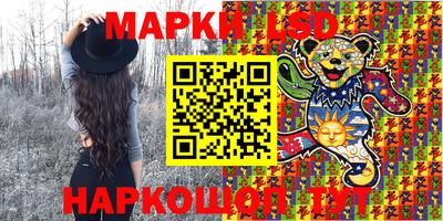 амф Донской