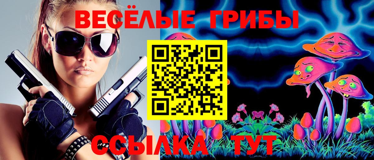 Псилоцибиновые грибы мицелий Донской