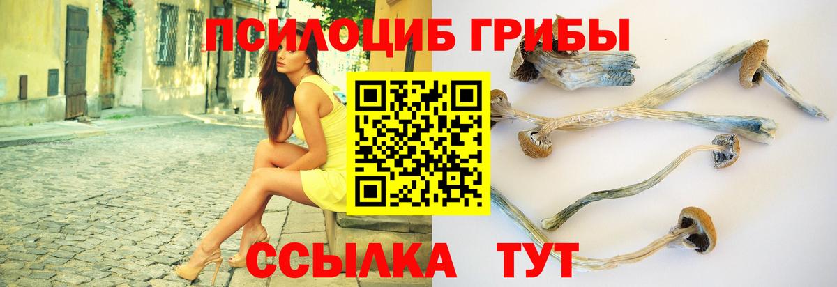 Галлюциногенные грибы прущие грибы  Галлюциногенные грибы Psilocybine cubensis  Вход с VPN  дарнет шоп  Донской 