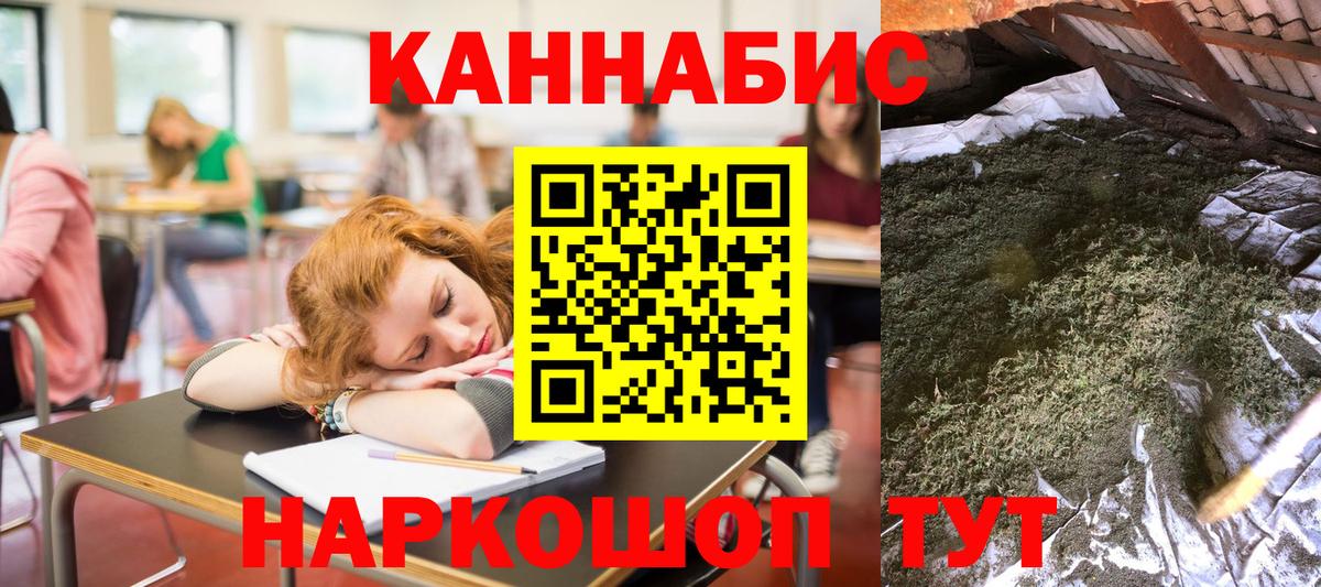 Каннабис план Донской